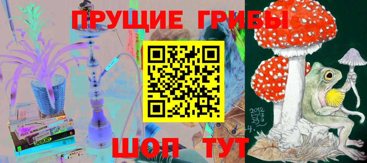 Галлюциногенные грибы Psilocybe  Галлюциногенные грибы ЛСД  Вход с VPN  Артёмовский 